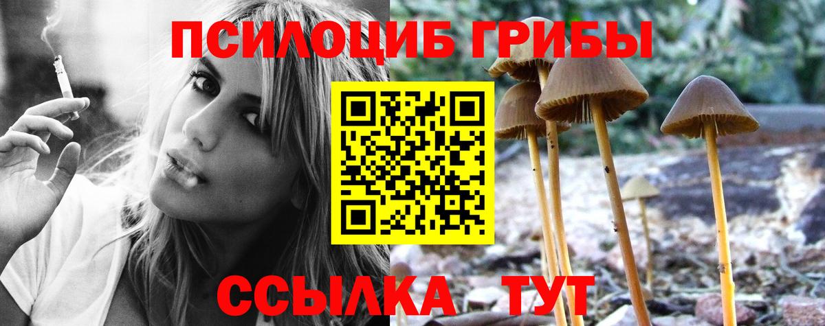 Галлюциногенные грибы MAGIC MUSHROOMS Южноуральск